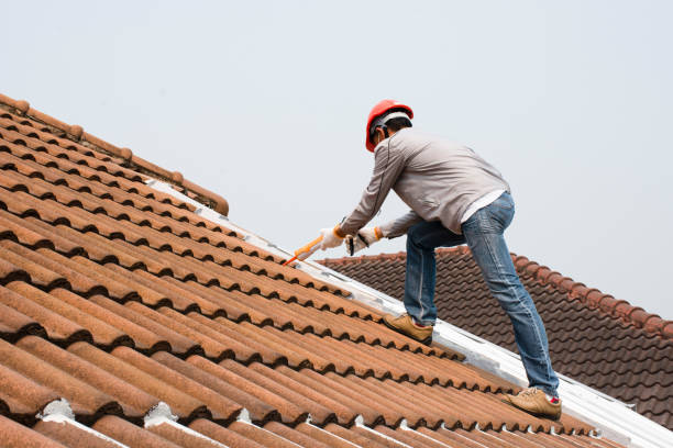 Reliable Fort Totten, ND  Roofing repair and installation Solutions